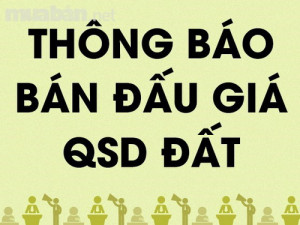 THONG BAO DAU GIA