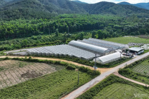 Mô hình sản xuất nông nghiệp công nghệ cao HƯNG LONG I FARM